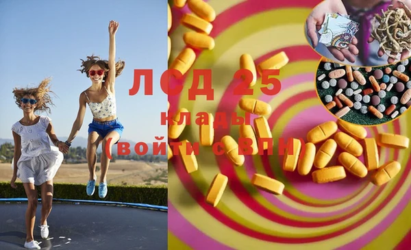 ALPHA PVP Покров