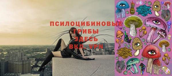 ALPHA PVP Покров